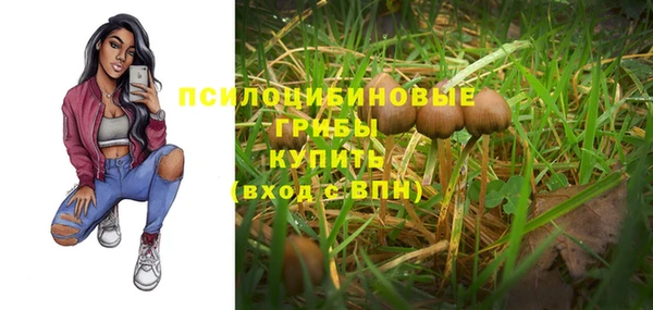 дживик Арсеньев