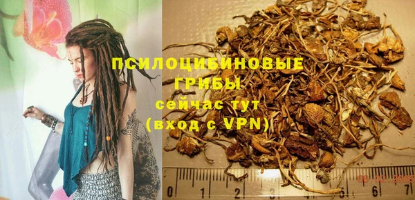 винт Алзамай